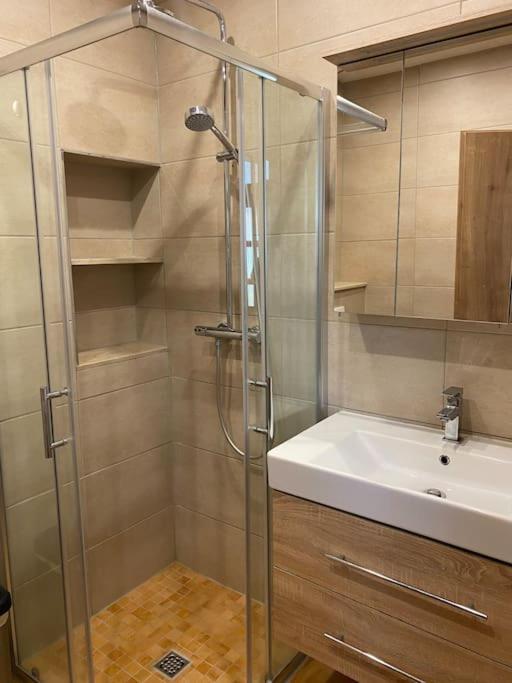 Ferienwohnung Auf Dem Gutshof Renz Weißenfels المظهر الخارجي الصورة